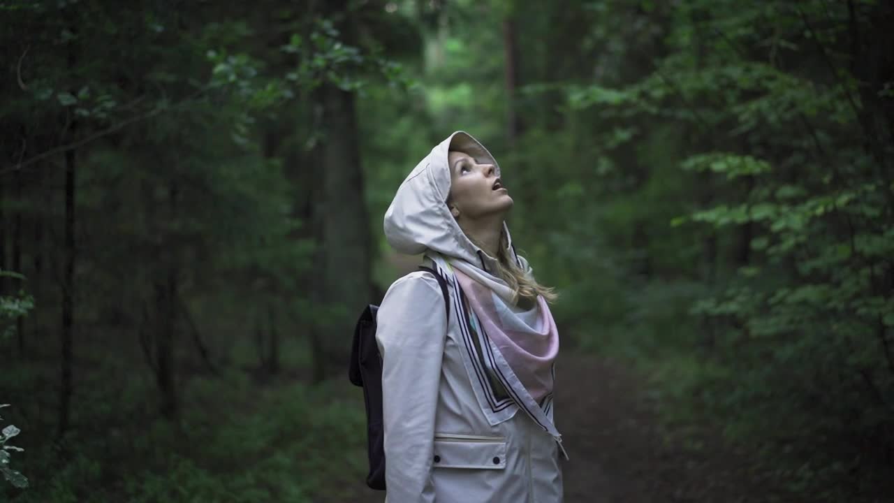 Download Free Stock Video Young Woman Looking Around In The Forest Live Wallpaper