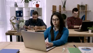 Free Stock Video Young People Working Concentrated In An Office Live Wallpaper