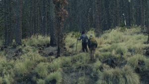 Free Stock Video Young People Walking Through A Forest Live Wallpaper