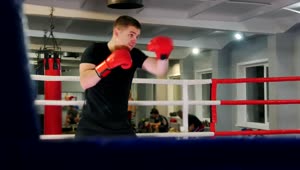 Free Stock Video Young Boxer Training Hard On A Ring Live Wallpaper