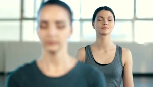 Free Stock Video Women Meditating In Yoga Class Live Wallpaper