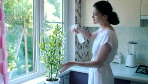Free Stock Video Woman Watering A Plant In Her Kitchen Live Wallpaper