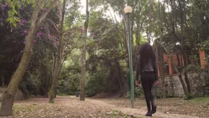 Free Stock Video Woman Walking Through A Park With Dry Trees And Leaves Live Wallpaper