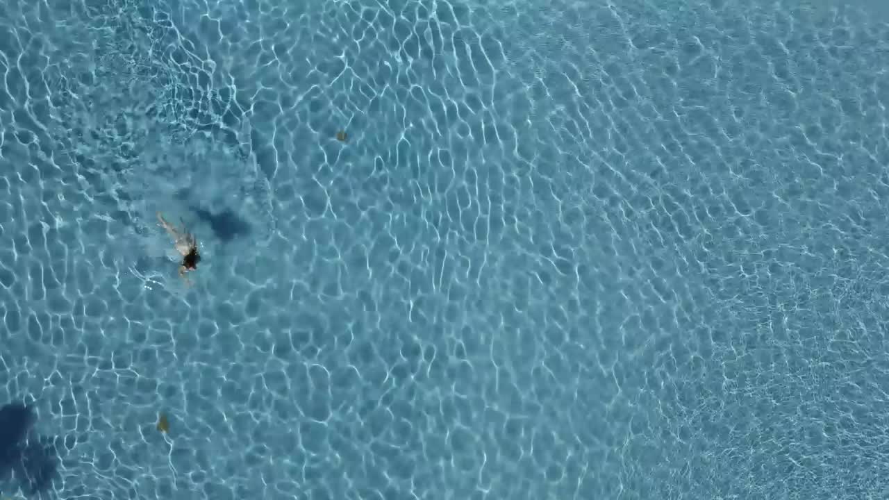 Download Free Stock Video Woman Swimming In The Pool Live Wallpaper