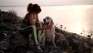 Free Stock Video Woman Stroking Her Dog On A Shoreline At Sunset Live Wallpaper