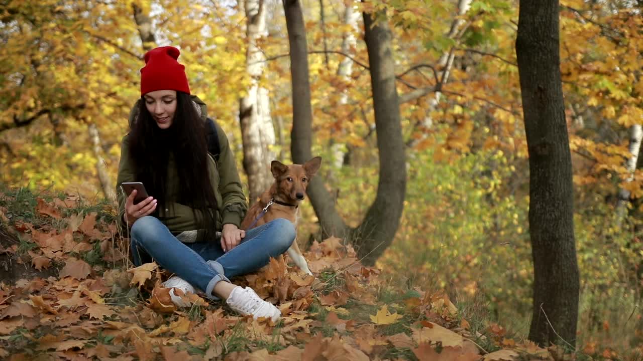 Download Free Stock Video Woman Checking Her Phone While Walking Her Dog Live Wallpaper