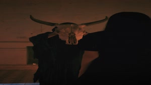 Free Stock Video Woman Bows To The Skull Of A Bull Holding A Live Wallpaper