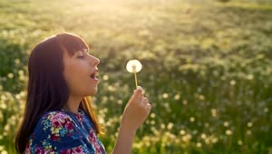 Free Stock Video Woman Blowing On A Dandelion In The Meadow Live Wallpaper
