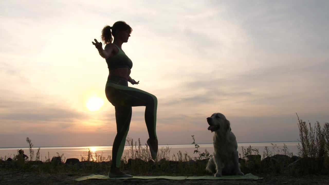 Download Free Stock Video Woman And Her Dog Doing Yoga In Front Of The Live Wallpaper