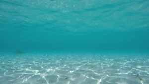 Free Stock Video White Sand Below The Surface Live Wallpaper