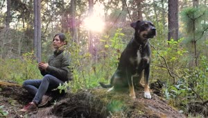   Stock Footage Woman And Her Dog In A Forest Live Wallpaper