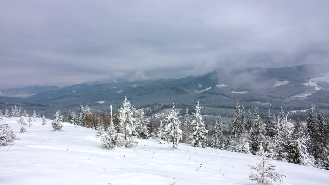 Download   Stock Footage Winter Landscape In The Mountain Live Wallpaper