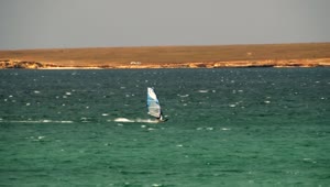   Stock Footage Windsurfing Along The Coast Live Wallpaper