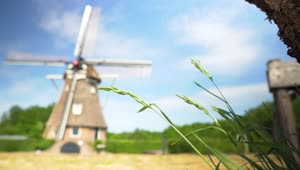   Stock Footage Windmill In The Distance Between Bushes And Trees Live Wallpaper