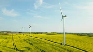  Stock Footage Wind Turbines On A Bright Day Live Wallpaper