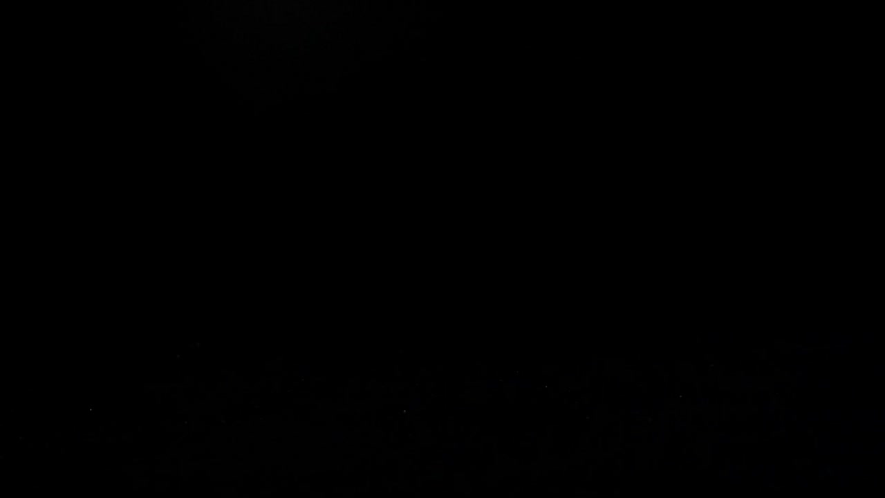 Download   Stock Footage White Wedding Flower Live Wallpaper