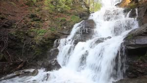   Stock Footage Waterfall On The Rocks At A Forest Live Wallpaper