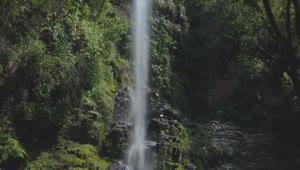   Stock Footage Waterfall In Woods Live Wallpaper