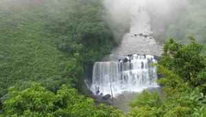   Stock Footage Waterfall In The Middle Of The Jungle In Africa Live Wallpaper