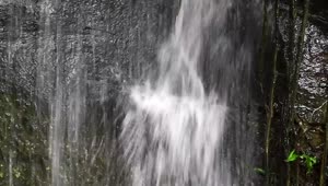   Stock Footage Waterfall In A Public Garden Live Wallpaper