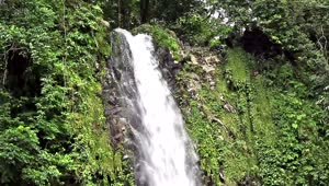   Stock Footage Waterfall At The Edge Of A Forest Live Wallpaper