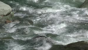   Stock Footage Water Flowing Down The River In Slow Motion Live Wallpaper