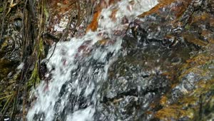   Stock Footage Water Flowing Down A Cave Wall Live Wallpaper