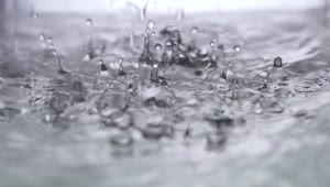   Stock Footage Water Drops Creating Ripples Live Wallpaper