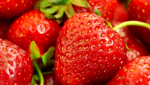   Stock Footage Washing Strawberries Close Up Live Wallpaper