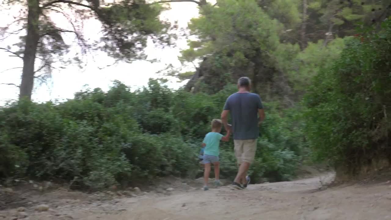 Download   Stock Footage Walking Towards A Forest Lake Live Wallpaper