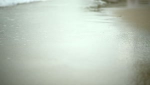   Stock Footage Walking On Wet Sand And Waves Live Wallpaper