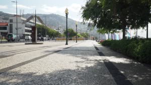   Stock Footage Walking On The Street On Madeira Live Wallpaper