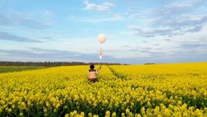   Stock Footage Walking On A Flower Field With A White Balloon In Live Wallpaper