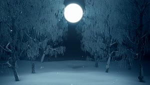   Stock Footage Walking In The Winter Forest Towards The Full Moon Live Wallpaper