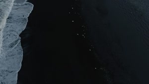   Stock Footage Volcanic Beach Live Wallpaper