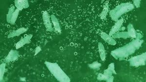   Stock Footage Viruses And Bacteria Live Wallpaper