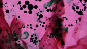   Stock Footage Virus Infected Cells Live Wallpaper
