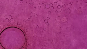   Stock Footage Virus Cell In Purple Tones Live Wallpaper