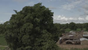   Stock Footage Village In Africa Live Wallpaper