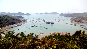   Stock Footage Vietnam Bay Filled With Boats Live Wallpaper