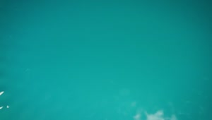   Stock Footage Vibrant Turquoise Blue Water Live Wallpaper
