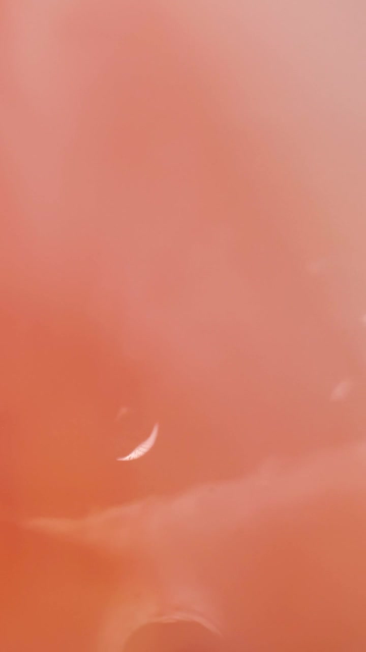 Download   Stock Footage Vibrant Pink Abstract Water Viewed In Detail Live Wallpaper