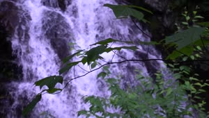   Stock Footage Unfocused Waterfall Shot In Slow Motion Live Wallpaper