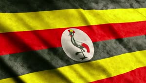   Stock Footage Uganda Waving Flag From African Continent Live Wallpaper