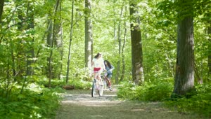   Stock Footage Two Young Girls Riding Bicycles In The Forest Path Live Wallpaper