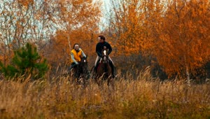   Stock Footage Two Woman Riding Horses In The Autumn Field Live Wallpaper