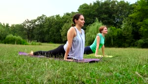   Stock Footage Two Woman Practicing Yoga In The Park Live Wallpaper