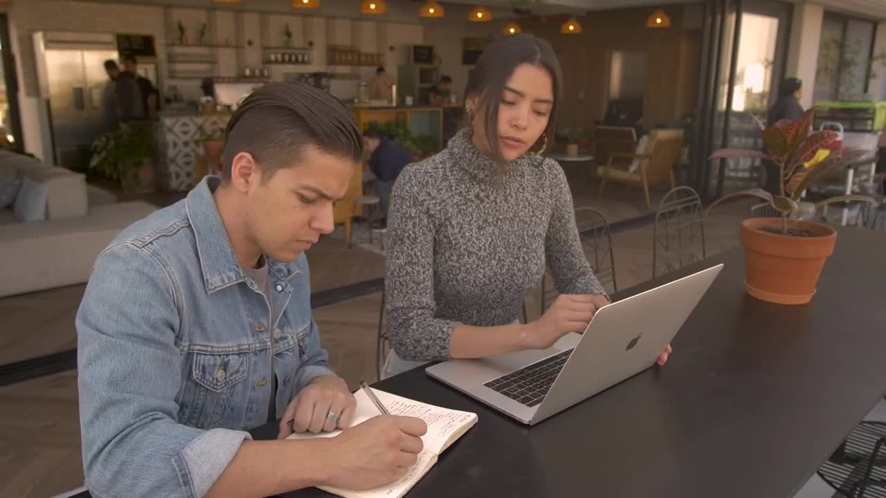 Download   Stock Footage Two People Work In A Coffee Shop Live Wallpaper