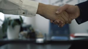   Stock Footage Two People Shaking Hands After An Agreement Live Wallpaper