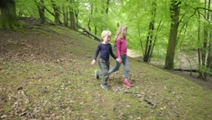   Stock Footage Two Kids Walking Through Woodland Live Wallpaper